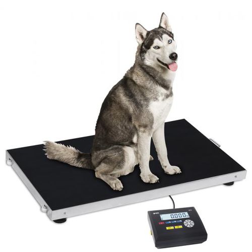 Bilancia per animali - Gram Core Pluto - Gram Group - a piattaforma / contapezzi / elettronica