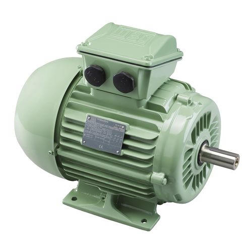 Motore sincrono - W22  - WEG Gear Systems GmbH - trifase / 690 V / 400 V