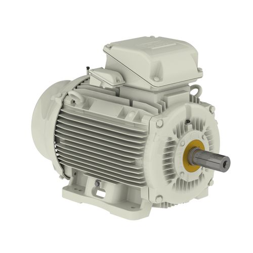 Motore trifase - W22  - WEG Gear Systems GmbH - in acciaio inossidabile / in alluminio