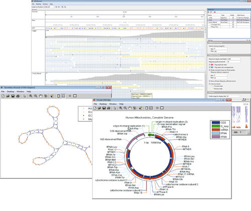 Software di visualizzazione - Bioinformatics Toolbox™ - The MathWorks - di analisi / per spettrometria di massa