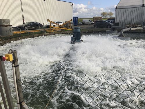 Aeratore galleggiante - AQUAFEN® - EUROPELEC - di surperficie / per trattamento di acque reflue / per stazioni di depurazione