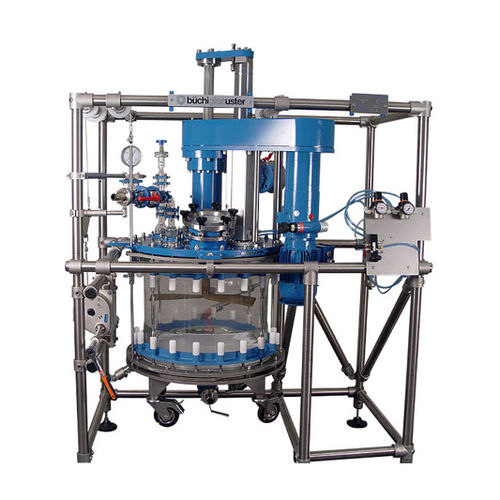 filtro essiccatore per solidi - Buchiglas (Büchi AG)-Reactor Systems & Pilot Plant