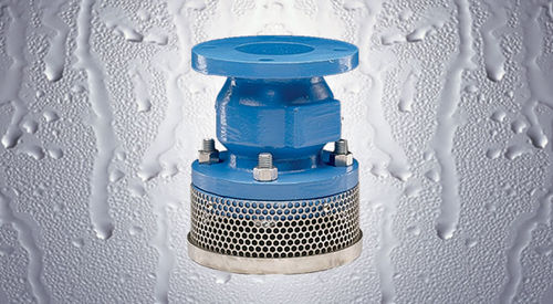 Valvola di ritegno a disco - 302BT - Flomatic - con flangia / in ghisa / con succhieruola