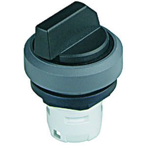 Pulsante di selezione - OKTRON®-R RKSTA - Georg Schlegel GmbH & Co. KG - IP65 / non luminoso / ad azione momentanea