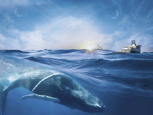 Sistema di monitoraggio marino - QuietSea™ - Sercel Inc.