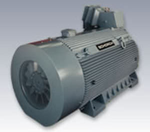 Motore asincrono - Schorch - AC / 60 V / antideflagrante
