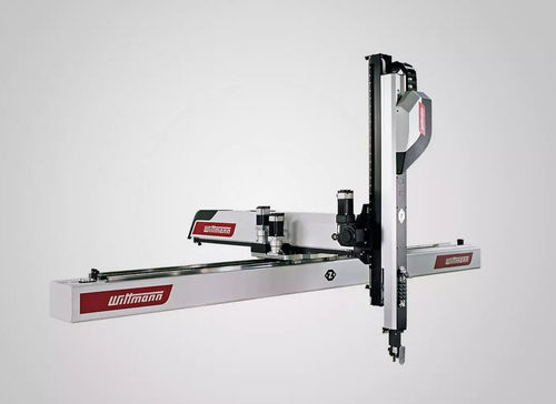 Robot cartesiano - Primus series - WITTMANN - 3 assi