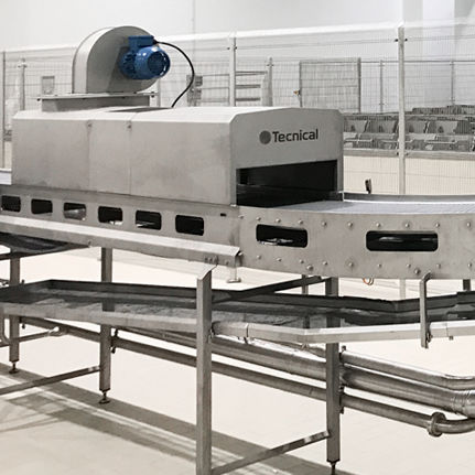 Tunnel di lavaggio di risciacquo - tecnical - automatico