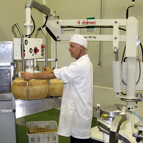 Manipolatore per formaggio - Partner - DALMEC - pneumatico / a ventosa / per movimentazione