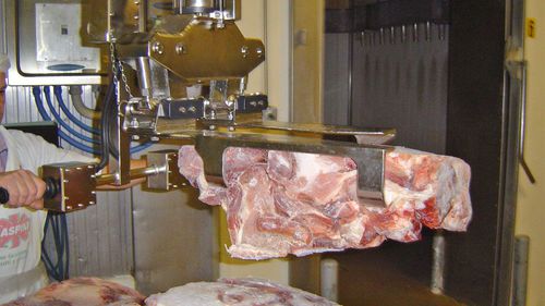 Manipolatore pneumatico - DALMEC - con presa / per movimentazione / per carne