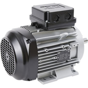 Motore a bassa tensione - ATB - ad induzione / trifase / 80 V