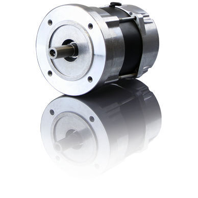 Servomotore BLCD - BLDC09 series - Heidrive GmbH - DC / 48 V / a magneti permanenti