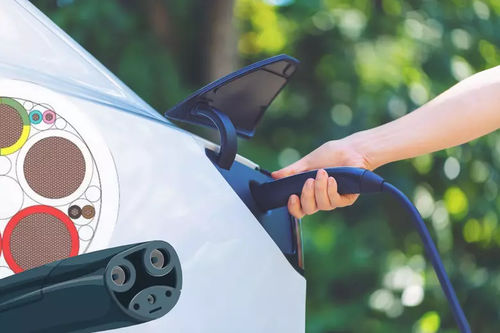 Cavo elettrico per caricatori per veicoli elettrici - EcoSense® NACS - LEONI Cable Solutions - di alimentazione / IEC