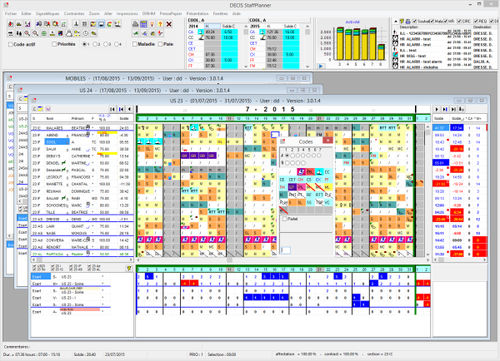 Software di gestione dei magazzini WMS - StaffPlanner - DECIS SA - di gestione del personale / di regolazione / di basi di dati