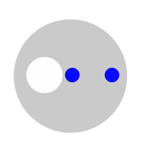 Cavo ottico su misura - Yangtze Optical Electronic Company Ltd.