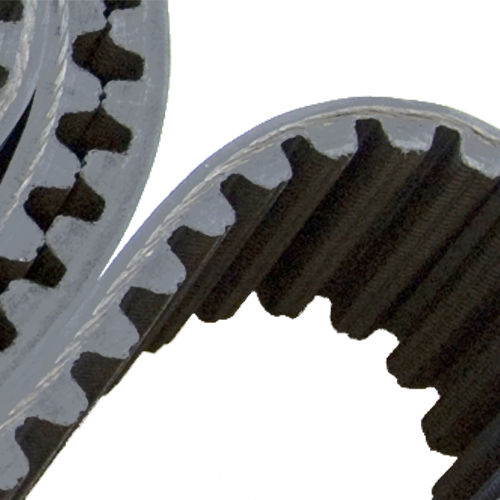 Cinghia dentata - MEGAPAINT - MEGADYNE - in gomma / ad uso industriale / per nastro trasportatore