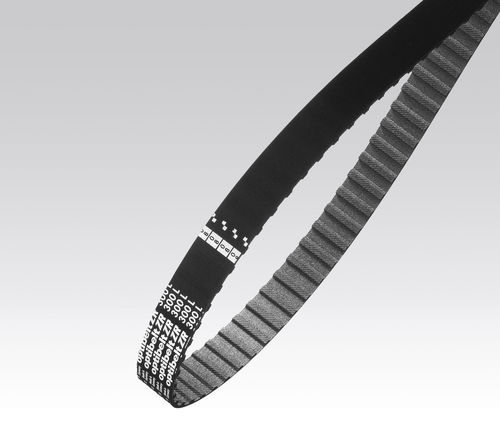 Cinghia dentata - ZR  - Optibelt - in neoprene