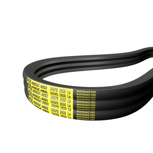 Cinghia A Cuneo SPZ-1700 QUARKZMAN - Gomma Neoprene, Passo 1700mm, Larghezza 10mm, Per Trasmissioni Industriali
