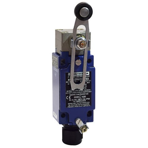 Contatto di fine corsa rotativo - XCKJ390541H29EX - Telemecanique Sensors - IEC / standard / ATEX