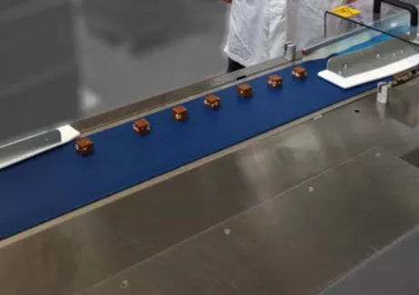 Cinghia piatta - Dectyl - AMMERAAL BELTECH - in poliuretano / in termoplastica / per prodotti alimentari