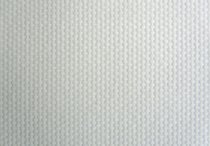 Nastro trasportatore in gesso - PPFS000003 - AMMERAAL BELTECH - PTFE / in silicone / bianco