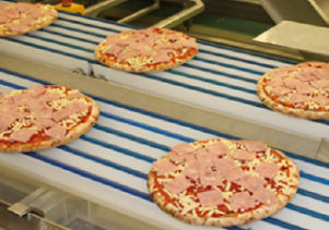 Cinghia a V - SCVB series - AMMERAAL BELTECH - in poliuretano / in termoplastica / per prodotti alimentari