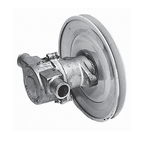 Pompa a rotore - 18840 series - Jabsco - ad acqua / autoadescante / mobile