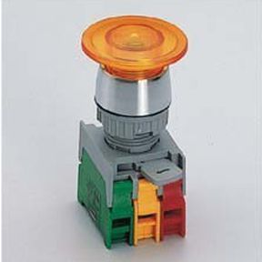 Interruttore luminoso - EBL22-1OC - Auspicious Electrical Engineering Co., Ltd. - unipolare / IP65 / chiuso
