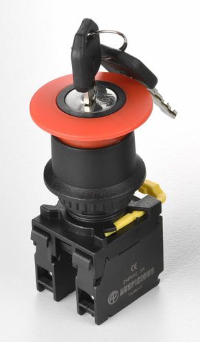 Interruttore a chiave - A2EKS series - Auspicious Electrical Engineering Co., Ltd. - unipolare / IP65 / chiuso