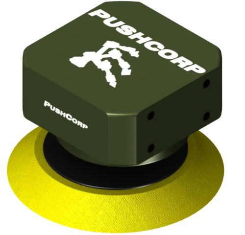 Disco abrasivo per levigatura - DAS100 - Pushcorp - per metallo