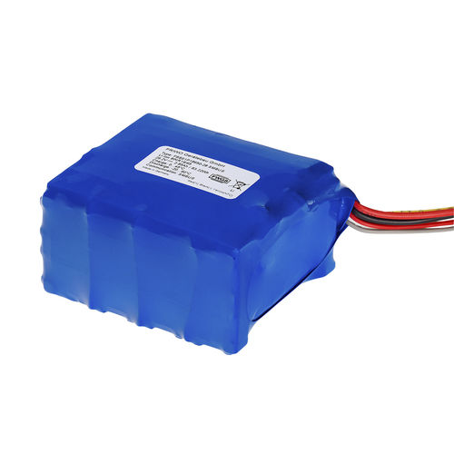 Batteria Li-ion - 8SxP - FRIWO Gerätebau GmbH - su misura / 3 V / ad alte prestazioni