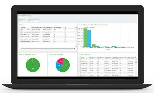 Software di gestione - Sage FRP 1000 Comptabilité - Sage bäurer GmbH - di sicurezza / di monitoraggio / di contabilità