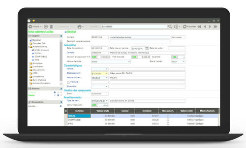 Software di gestione - Sage FRP 1000 Immobilisations - Sage bäurer GmbH - di gestione finanziaria / per reportistica / di monitoraggio