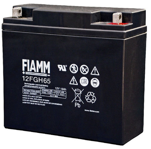 Batteria AGM - FGH series - FIAMM - a blocco / 12 V