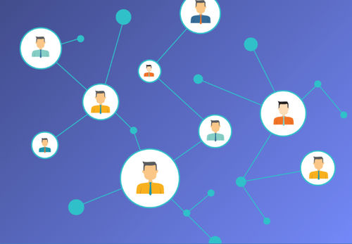 Software di gestione - InfoSphere® Identity Insight - IBM - di analisi / di interfaccia / server