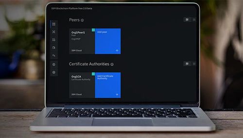 Software di gestione - Support for Hyperledger Fabric - IBM - di sviluppo / per test / di rete
