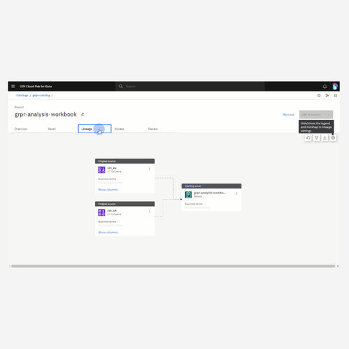 Software di analisi - Data governance - IBM - di supervisione / di qualità / di automatizzazione