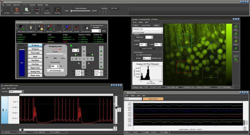 Software di analisi - MCS - SUTTER INSTRUMENT - di analisi di dati / di interfaccia / di supervisione
