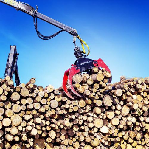 Sistema di pesatura di bordo - TAMTRON TIMBER - Tamtron