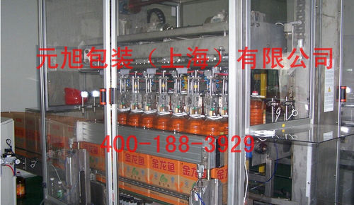 Incassatrice tipo pick and place - Yuanxu Packing(shanghai) Machinery Co., LTD - a carico dall'alto / automatica / per bottiglie