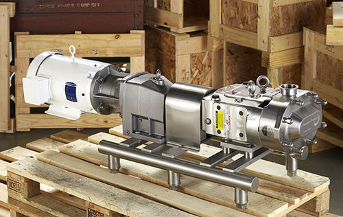 Pompa a lobi - ZP3  - Ampco Pumps - per bevande / per olio / elettrica
