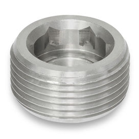 Tappo di otturazione - GN 252.5 - Otto Ganter GmbH & Co. KG - rotondo / filettato / in acciaio inossidabile