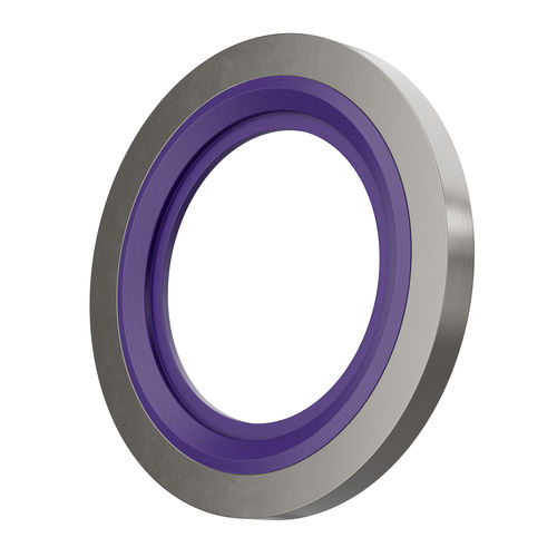 Guarnizione BS - Banjo - Hutchinson Precision Sealing Systems - a labbro / in metallo / in gomma