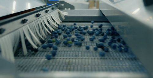 Linea di smistamento e alimentazione - Neon - Tomra