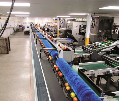 Smistatore per l'industria agroalimentare - Spectrim - Tomra - per applicazioni agricole / per colori / ottico