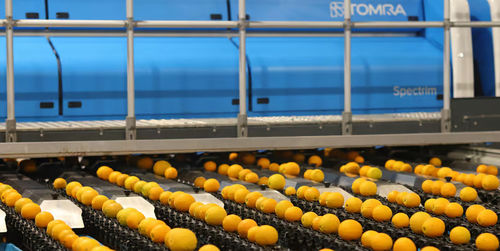 Calibratrice per frutta e verdura - Spectrim with LUCAi&reg; - Tomra - per frutta / per agrumi / ottica