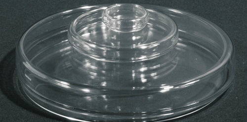 Piastra di Petri in vetro - Normax - Fábrica de Vidro Científico