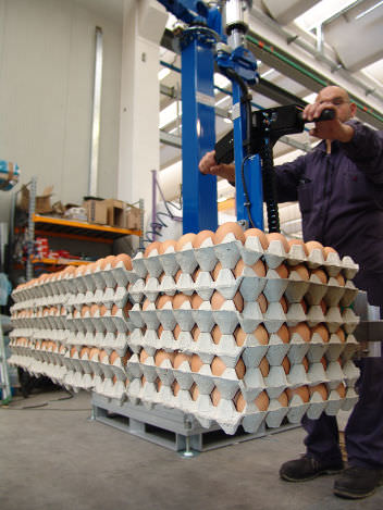 Manipolatore meccanico - FAMATEC - di carico / per l'industria agroalimentare