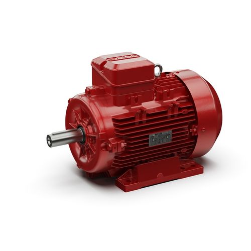 Motore asincrono - IRSD series - I-MAK Réducteurs - trifase / 380 V / 220 V