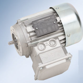 Motore EC - Walther Flender - 400 V / ATEX / antideflagrante